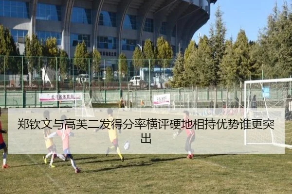 郑钦文与高芙二发得分率横评硬地相持优势谁更突出